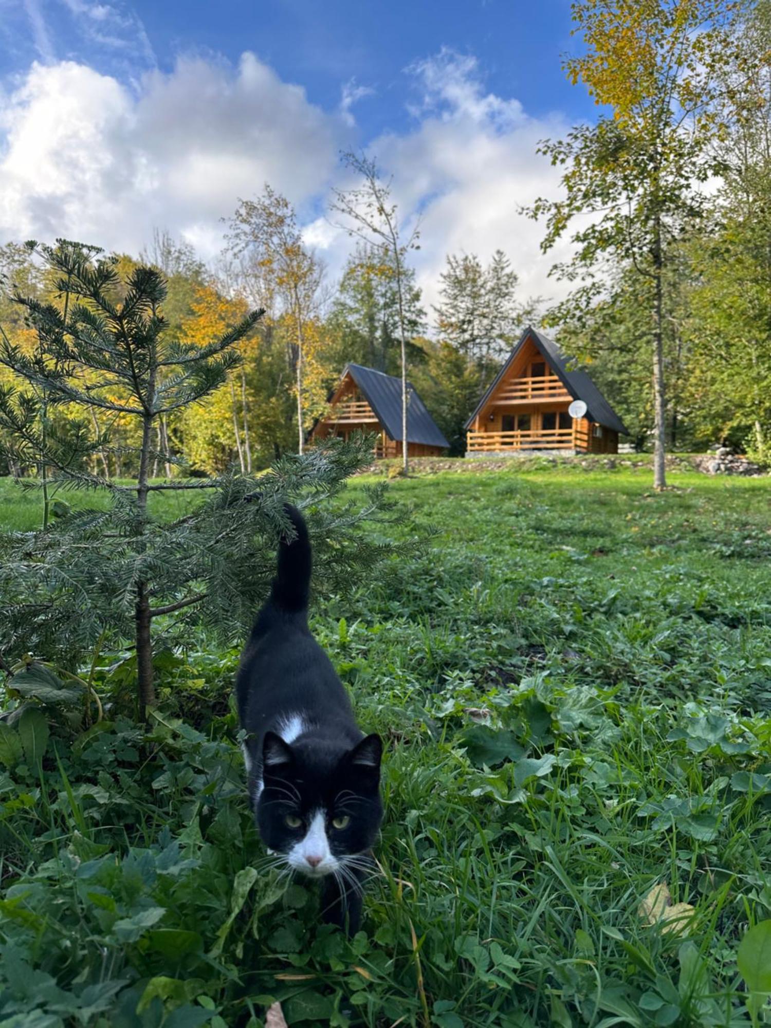 Ethno Village Long Story Kolašin Extérieur photo